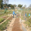 병호농장 이미지