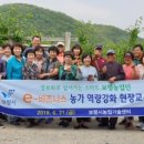 보령시농업기술센터 이미지