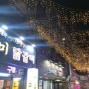 본토장의
