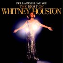 I Will Always Love You / Whitney Houston(보디가드 OST)1992 이미지