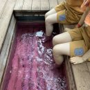 주)미리내 힐빙클럽 내 네이버블로그