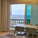 오션팔레드 이미지