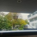 라운지스넥