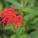 동자목장 이미지