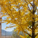 동계고등학교 이미지