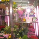 해피플라워 이미지