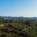 사랑마음이네 이미지