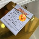 도그비잉 펫케어 | 제주 동쪽 애견운동장과 실내 수영장이 있는 도그렉스 내돈내산 후기