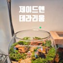 책상 위의 작은 정원, 테라리움 만들기 | 부산원데이클래스 추천｜제이드앤 테라리움 만들기 체험 후기