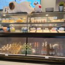 어반6.5(urban6.5) 이미지