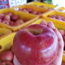 욱이네 농장 이미지