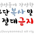 완월동282 이미지