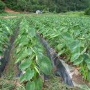 곡성-124 이미지