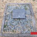 제주외가 이미지