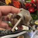 계절포차 이미지