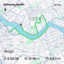 36.5 | [블챌] 생명사랑 밤길걷기 20주년 36.5km 완보후기 (블챌 3주차!!)