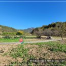 진흥 부동산중개사무소 이미지