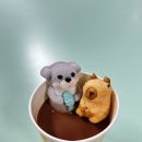 2.13 요리실습-마쉬멜로우 핫초코 이미지
