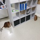 푸른환경청소 이미지