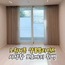 샬롬 블라인드