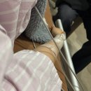 이지산부인과의원 | 루트여성의원 제왕절개 출산 후기+1인실 실비청구