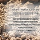 대성2 태양광발전소 이미지