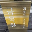 금목화