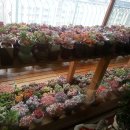 요즘 창 이미지