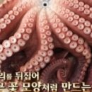 대풍수산 - 강서구 | 대풍수산