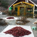 오로라가든 펜션 이미지