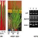 중원축산 이미지