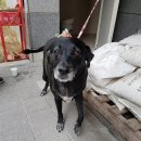 상서재로 이미지