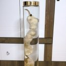 송*근 이미지
