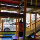 뽀글뽀글태산부대찌개 이미지