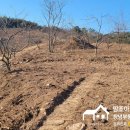 이기영공인중개사사무소 이미지