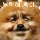 이버 - 파주시 문향로 90 | 이버
