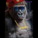 스카이고시텔 이미지