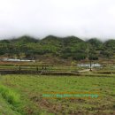 순천승마장 이미지