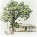 참좋은