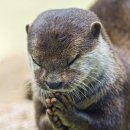 한솔건장 | 흑석동 4세, 5세 방문학습지 상담 후기 (눈높이, 구몬, 한솔교육)