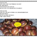 한가득과일분당