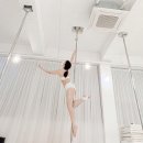 마릴린 티스토리