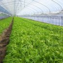 문영득농장 이미지