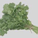 고수 카카오 검색결과