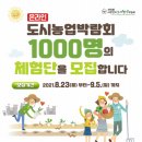 행잉플랜트 공기정화식물체험 이미지