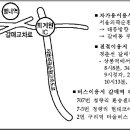 창락농장 Daum카페