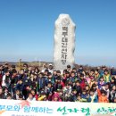 흥전초교 이미지