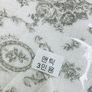 사계절면집 이미지