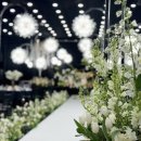 디바인밸리 이미지