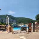[오션월드 평일후기] 오션월드 할인 패키지/오션월드 꿀팁/오션월드 구명조끼/부메랑고/몬스터블라스터...